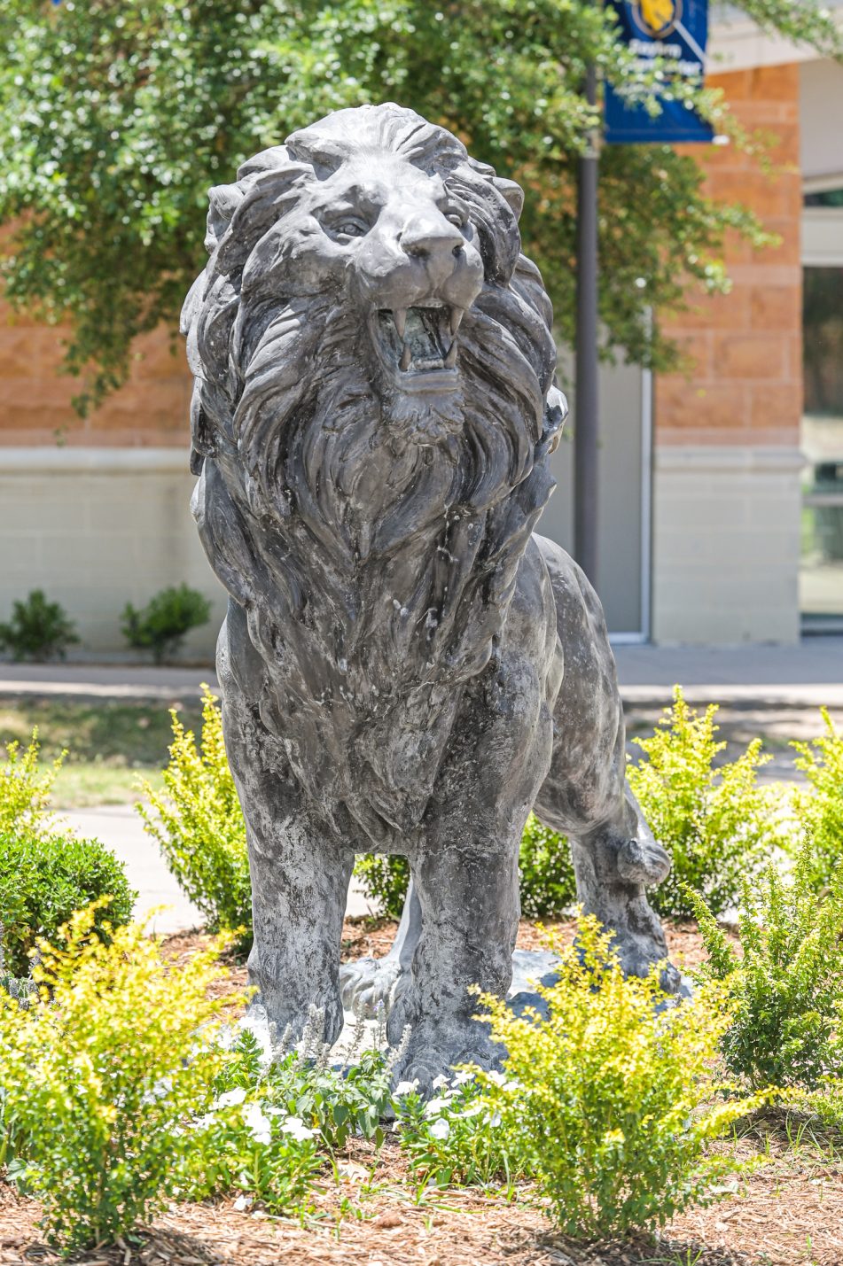 TAMUC Welcomes New Philanthropy and Engagement Staff for The Giving ...