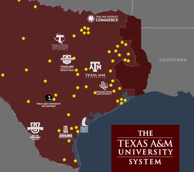Image of Texas in maroon with yellow stars indicating power grid locations.