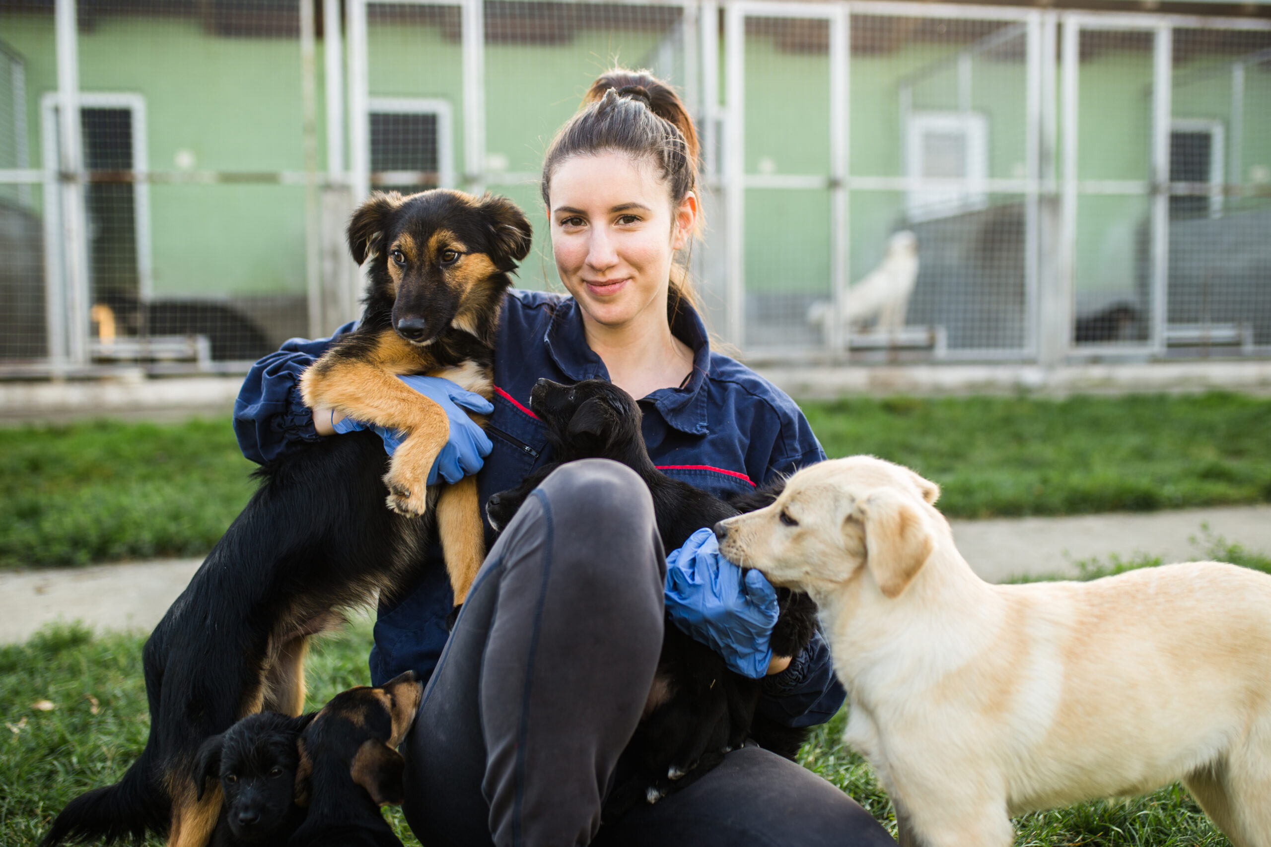 Young woman in dog shelter playing with dogs an choosing which one to adobt.