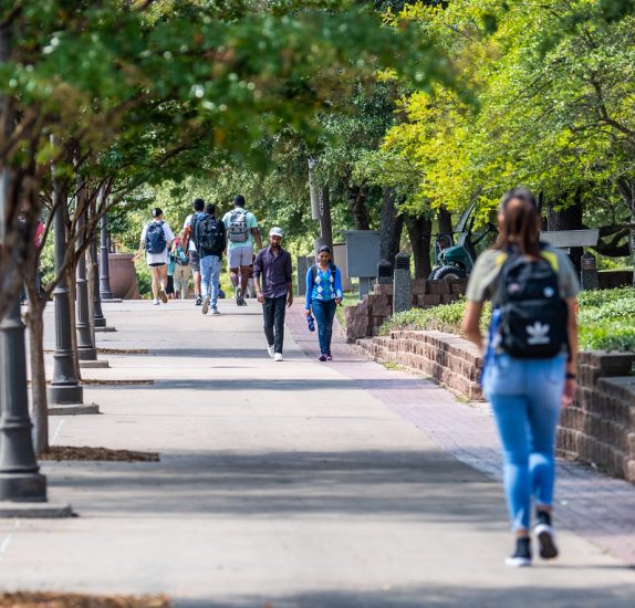 Students walk on campus outside, with trees lining each side of a sidewalk.