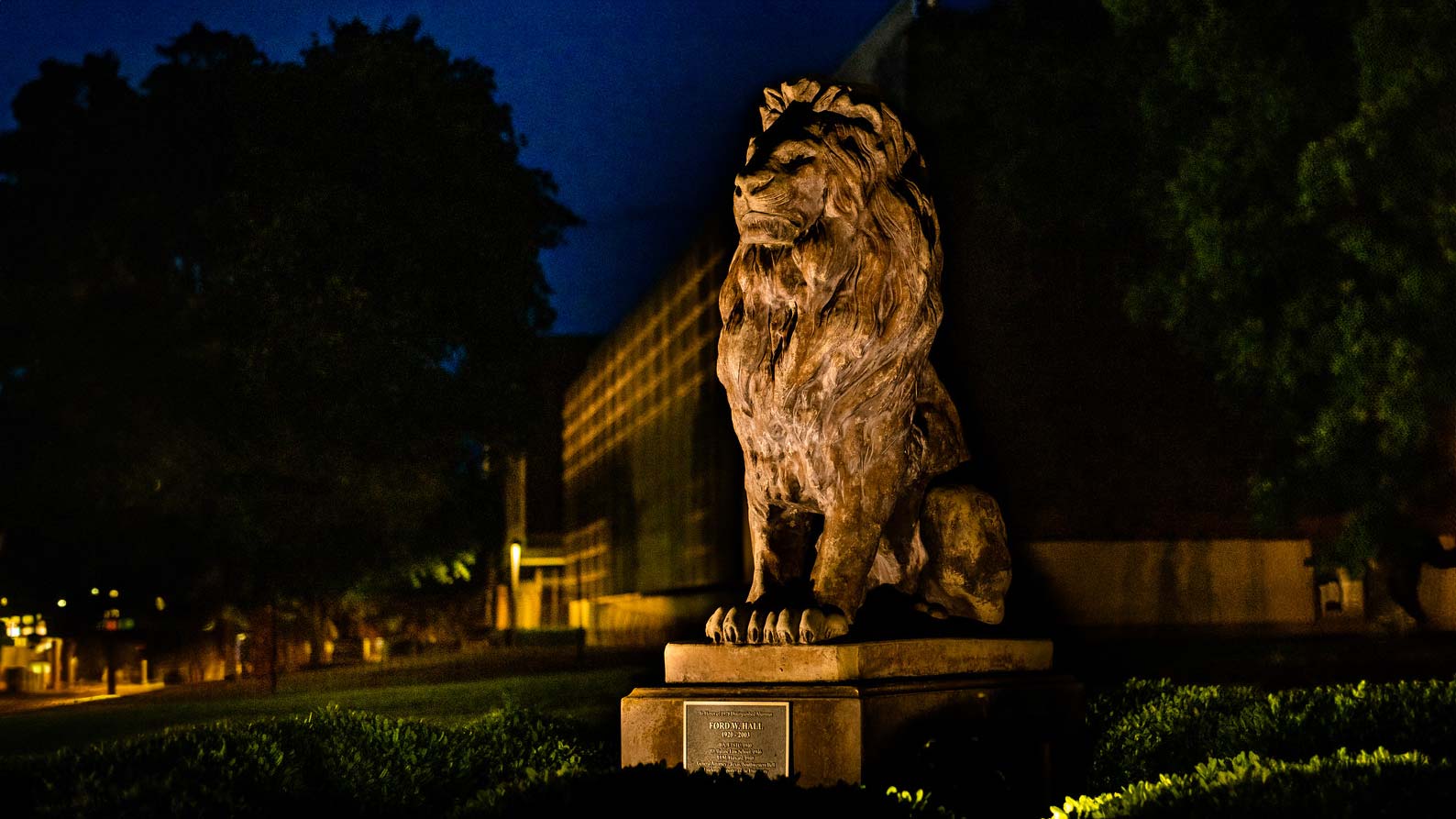 Lion statue on campus is illuminated in the dark.