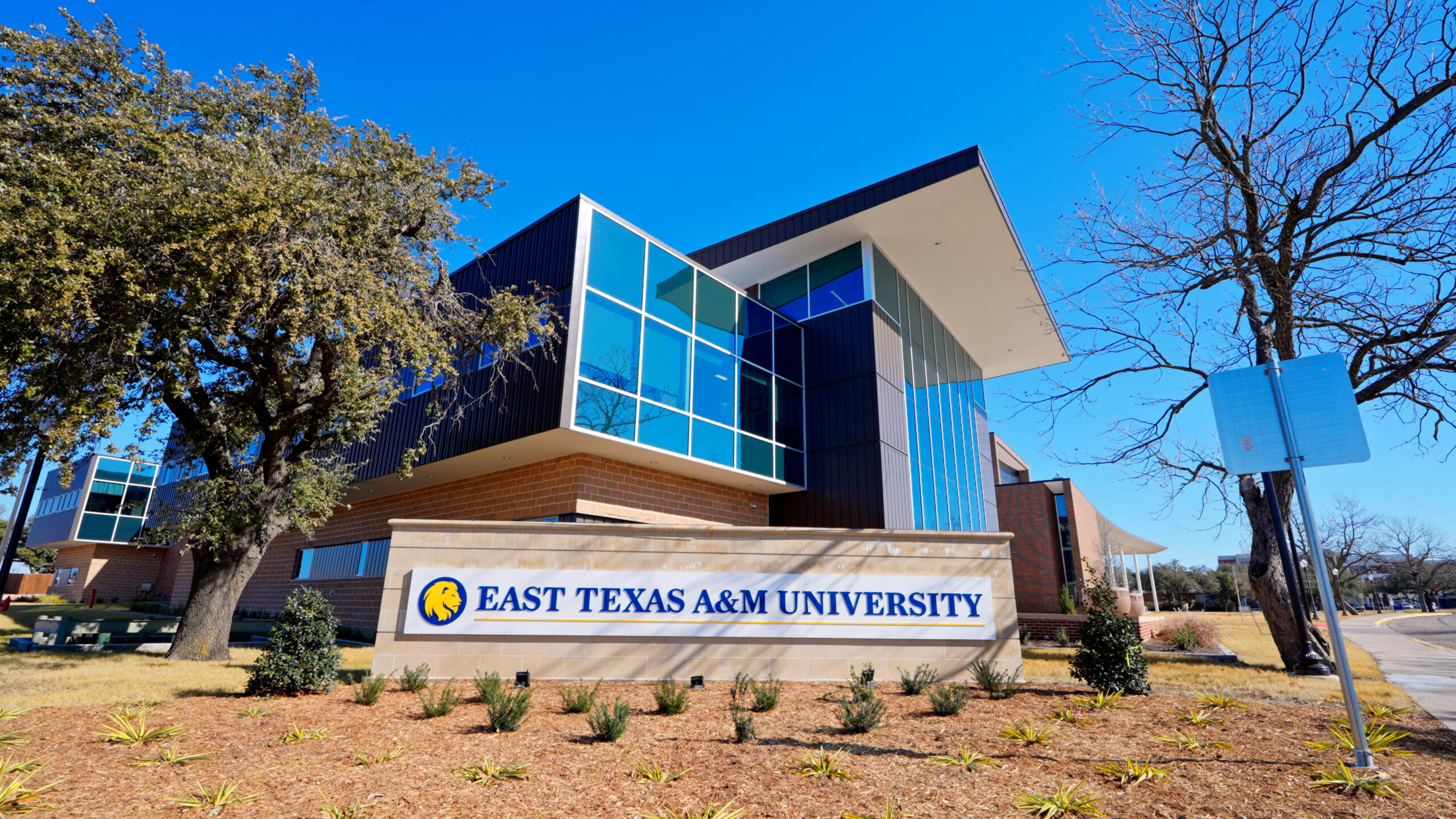 Modern East Texas A&M University building with large glass windows and a prominent university sign in the foreground on a sunny day.