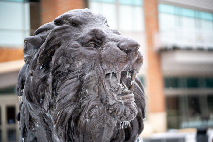 A lion statue covered with a thin layer of ice.