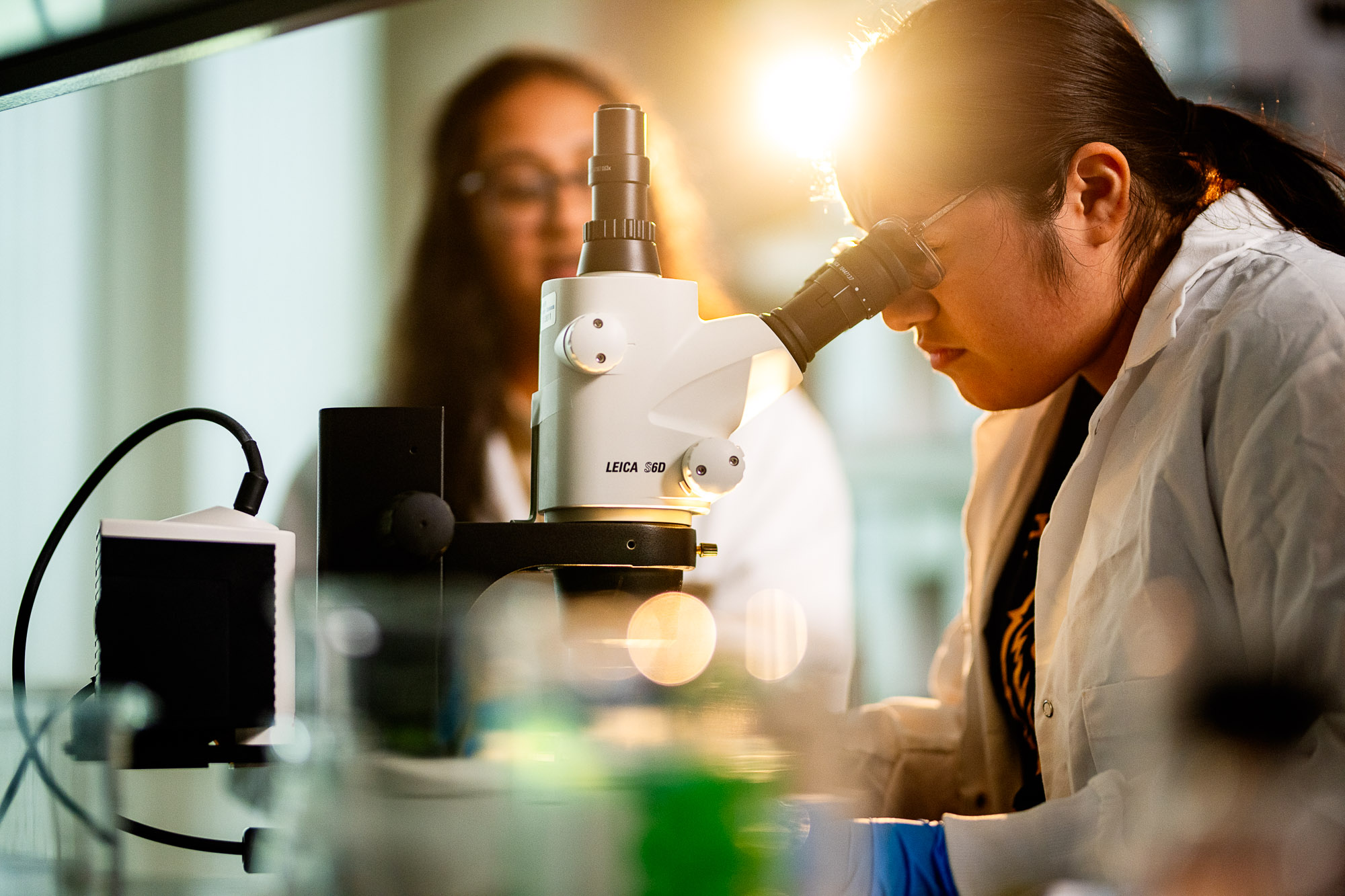 A researcher in a white lab coat examines a sample under a high-powered microscope in a biology lab at East Texas A&M University, advancing scientific research.