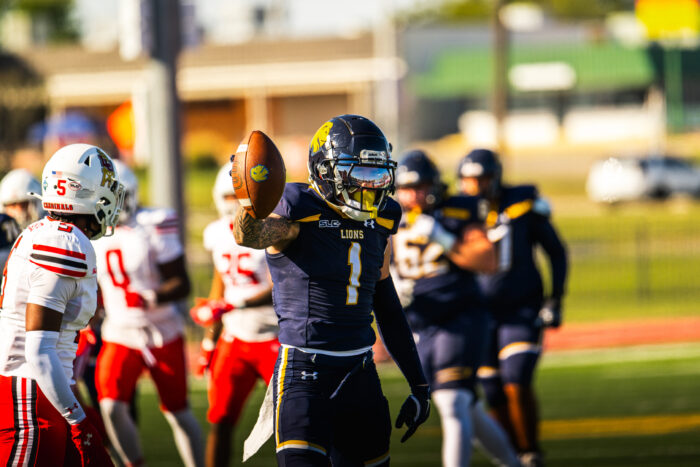 A Football player holds up the ball in celebration during a game.