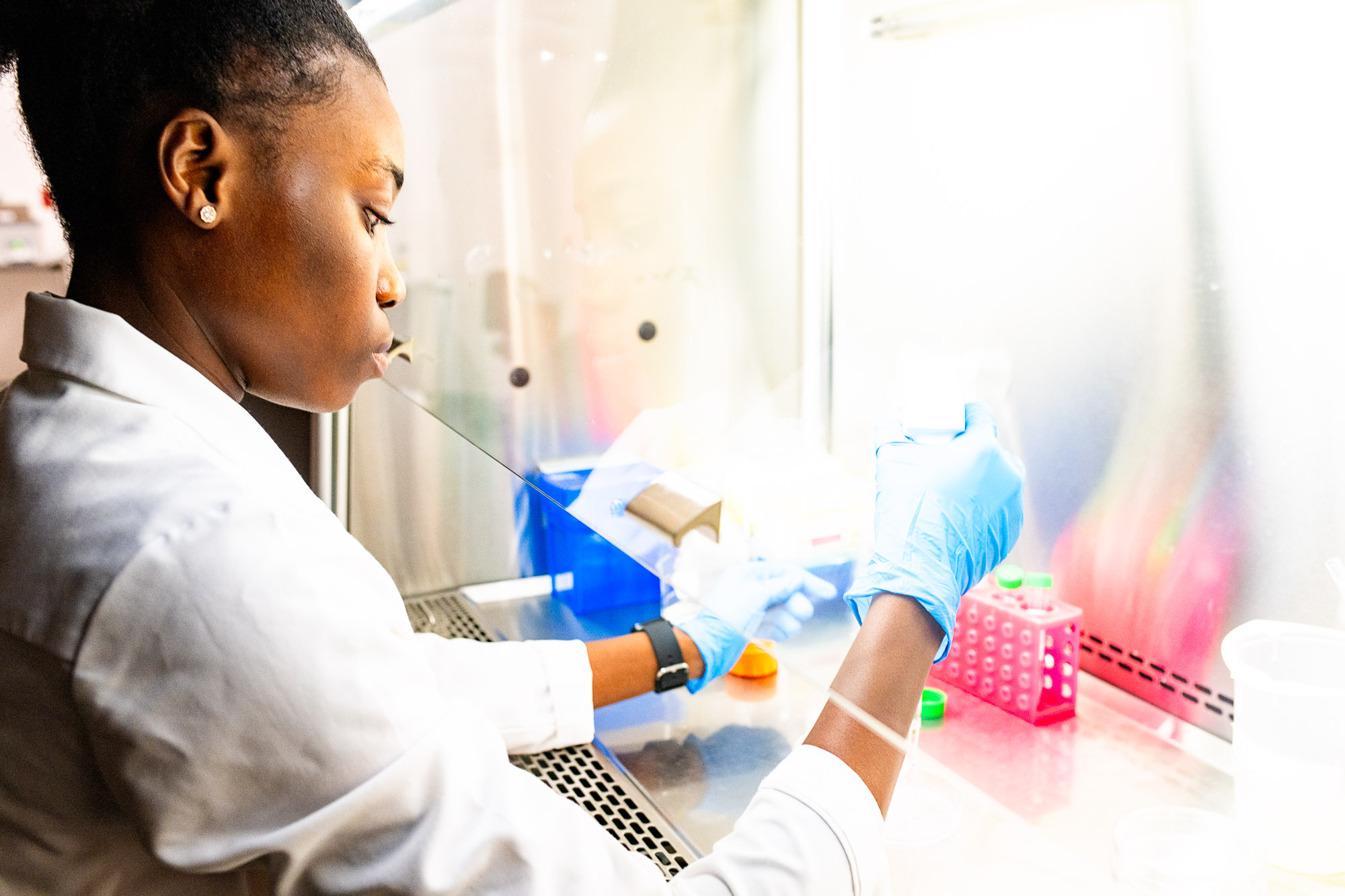 A researcher in a white lab coat and blue gloves conducts an experiment in a biosafety cabinet at East Texas A&M University's biology lab.