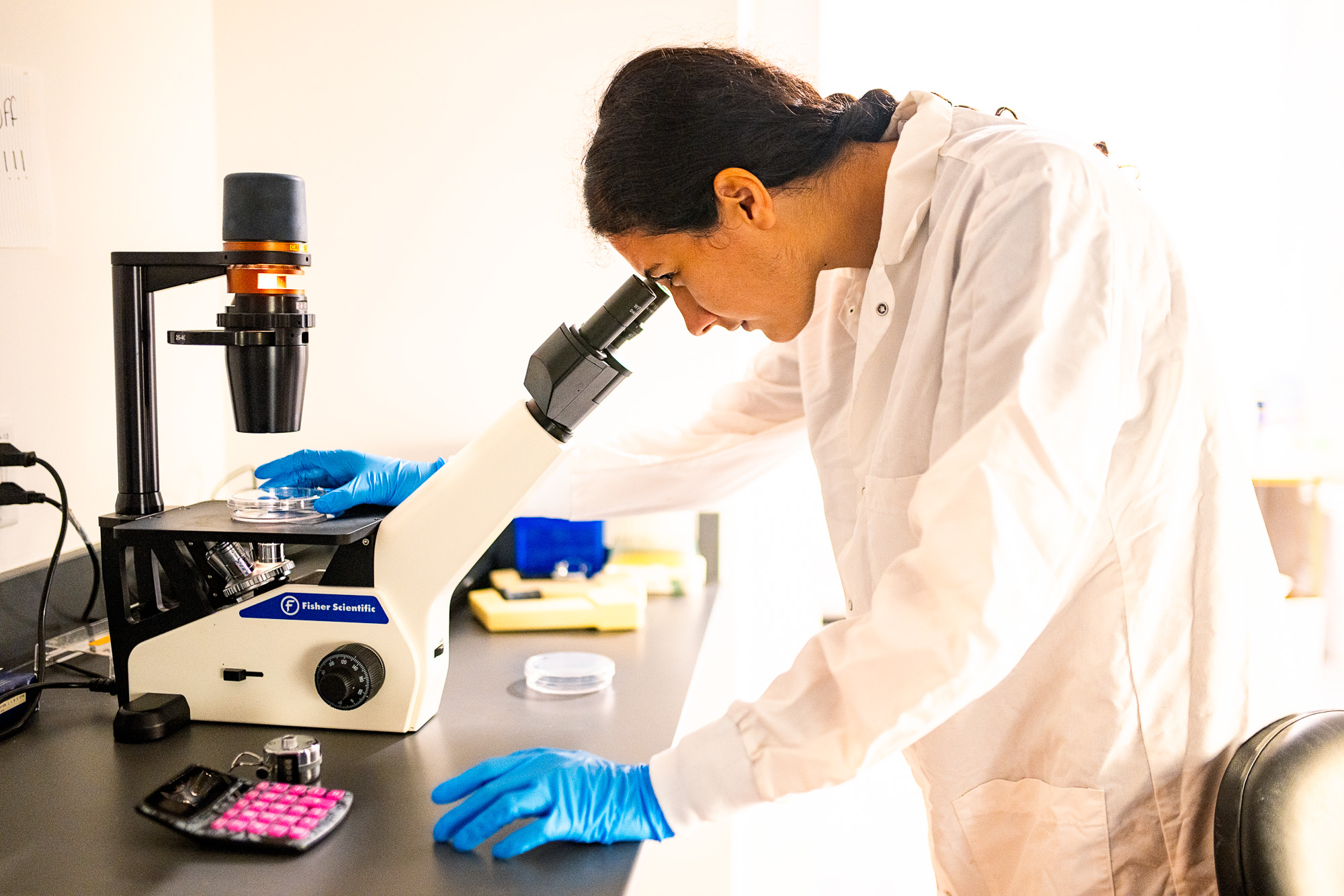 A researcher in a white lab coat and blue gloves examines a sample under a microscope in a biology lab at East Texas A&M University.