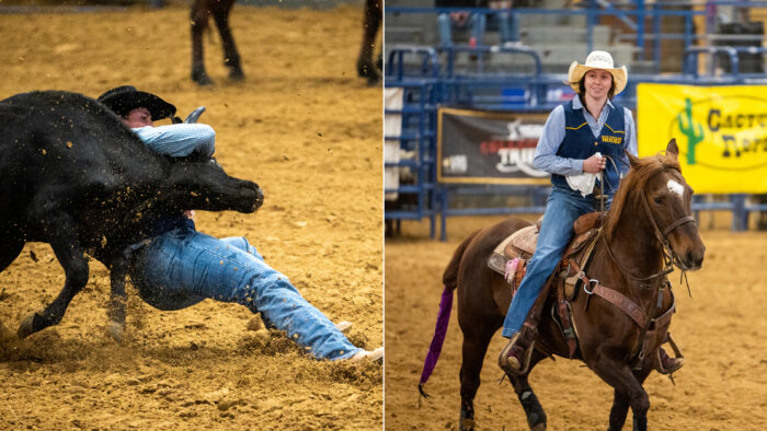 A side by side photo collage of two rodeo competitors.